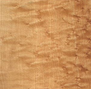 Birdseye Maple